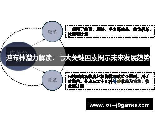 迪布林潜力解读：七大关键因素揭示未来发展趋势
