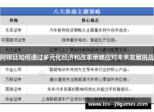 阿根廷如何通过多元化经济和改革策略应对未来发展挑战