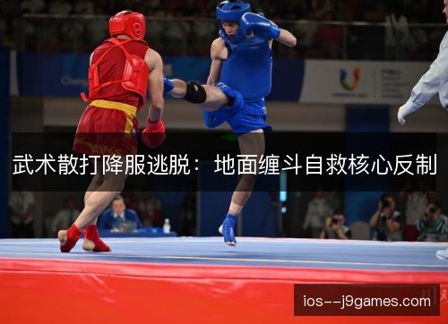 武术散打降服逃脱：地面缠斗自救核心反制